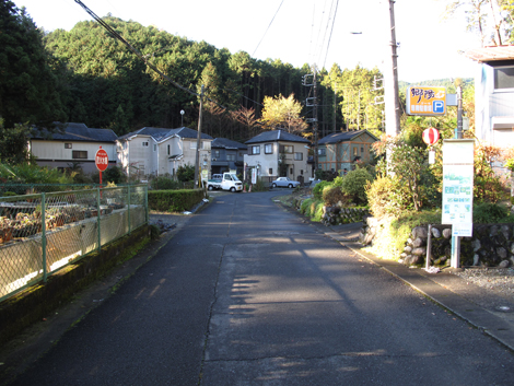 20151127hike (14)
